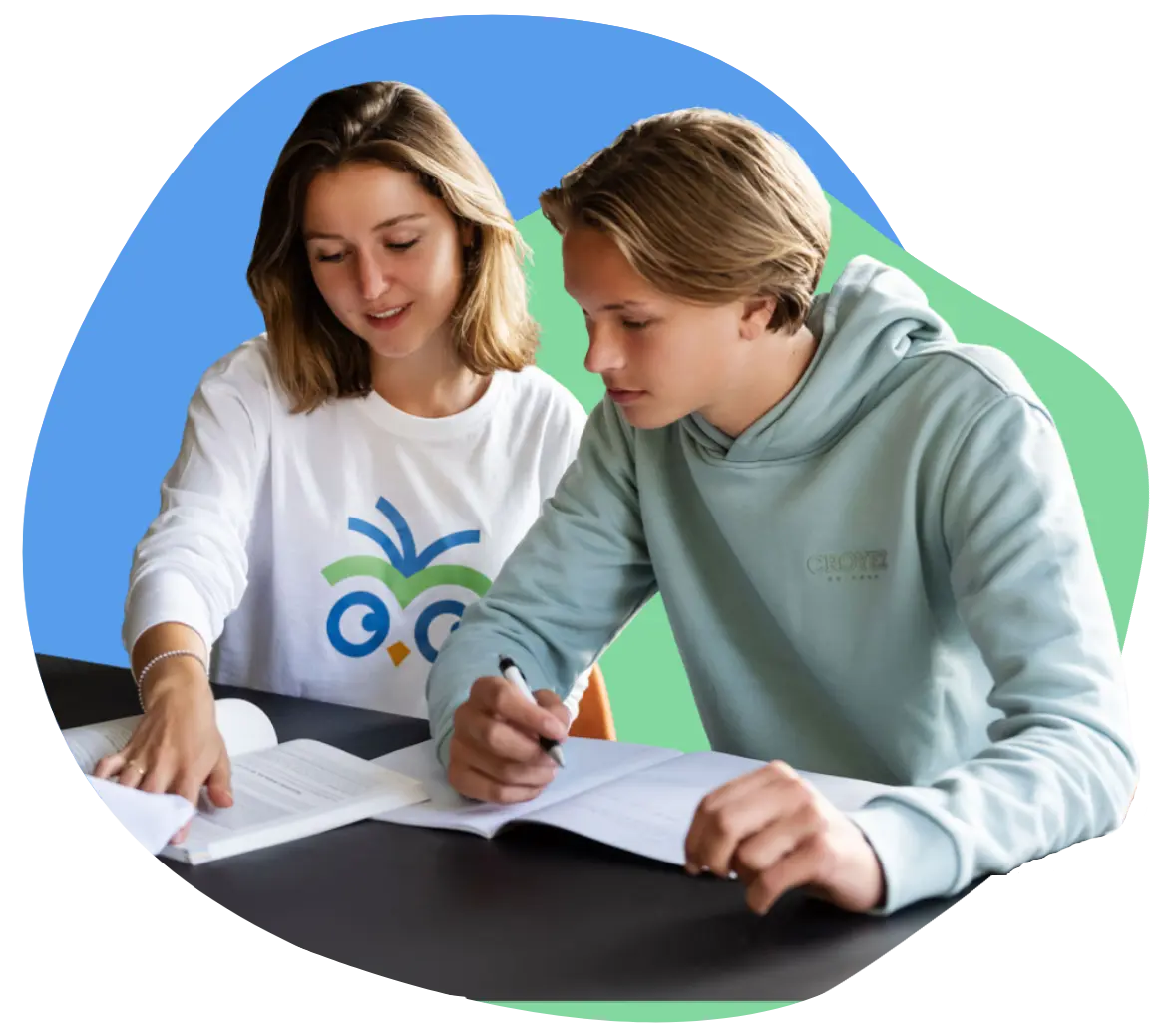 VWO bijles header - leerling met docent